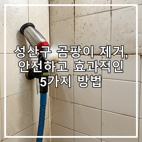 성산구 곰팡이 제거, 안전하고 효과적인 5가지 방법