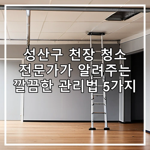 성산구 천장 청소 전문가가 알려주는 깔끔한 관리법 5가지