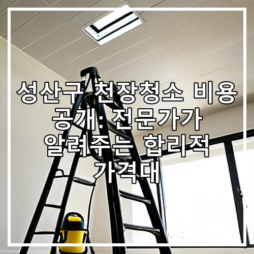 성산구 천장청소 비용 공개: 전문가가 알려주는 합리적 가격대