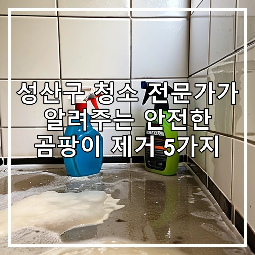 성산구 청소 전문가가 알려주는 안전한 곰팡이 제거 5가지