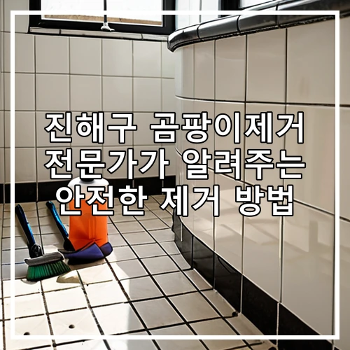 진해구 곰팡이제거 전문가가 알려주는 안전한 제거 방법