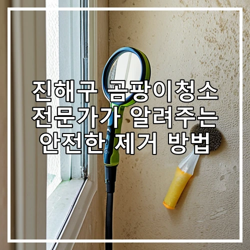 진해구 곰팡이청소 전문가가 알려주는 안전한 제거 방법