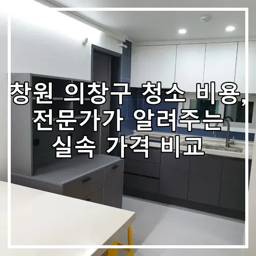 창원 의창구 청소 비용, 전문가가 알려주는 실속 가격 비교