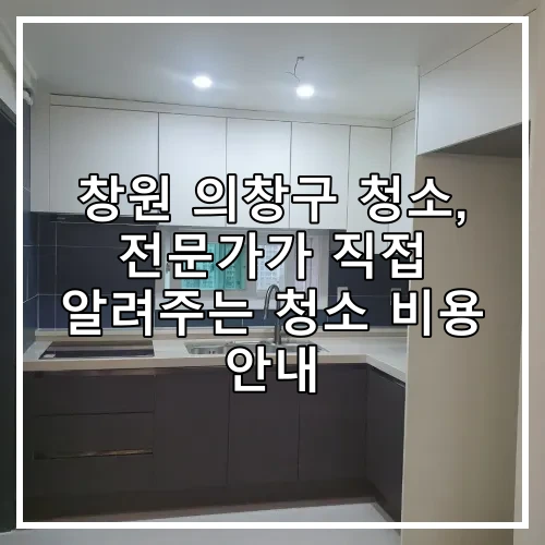 창원 의창구 청소, 전문가가 직접 알려주는 청소 비용 안내