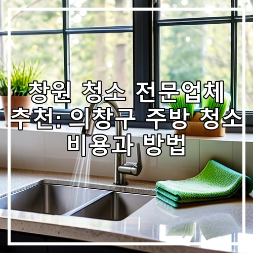 창원 청소 전문업체 추천: 의창구 주방 청소 비용과 방법
